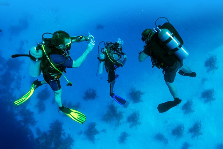 Open Water Punta Cana Dominican Republic - NAUTILUS Dive Center.