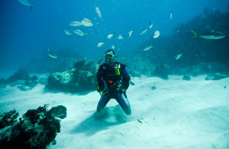 Open Water Punta Cana Dominican Republic
