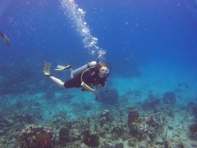 PADI & ESA Diver Courses - Open Water Punta Cana Dominican Republic