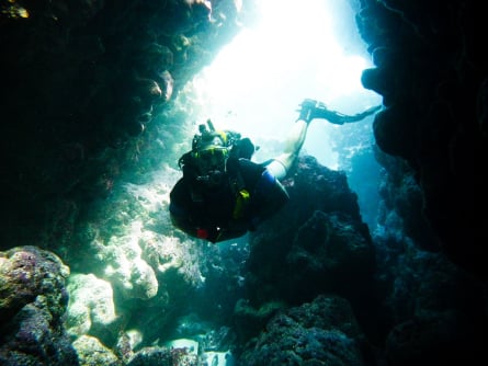 Open Water Diver Courses & Certification in Punta Cana Dominican Republic