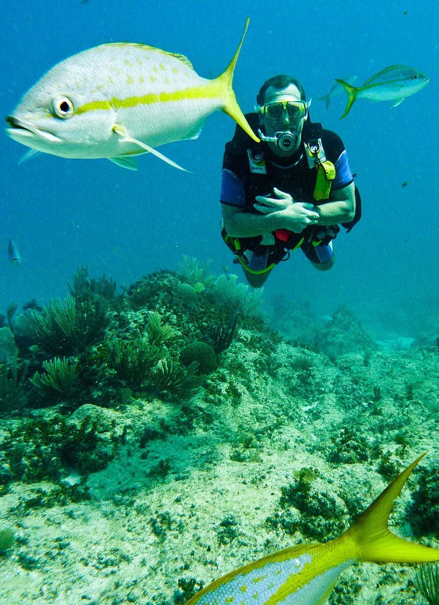 Discovery Scuba Diver Training Course in Bavaro, Punta Cana.