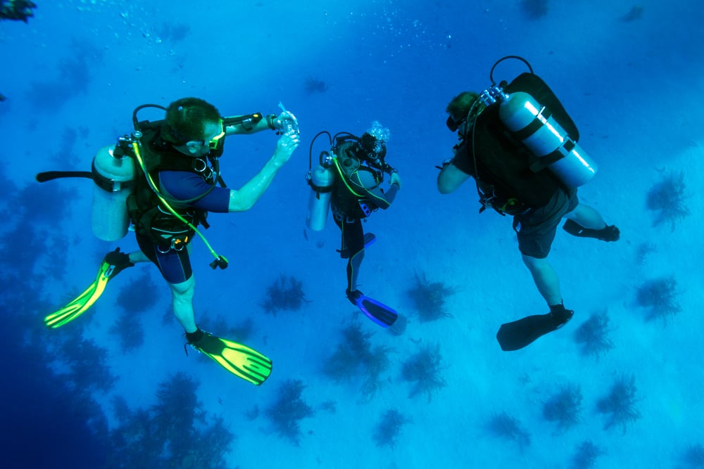 Top Diving in Punta Cana DR!